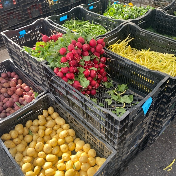 Meet your Posher, Judite - Picture 5 of 16